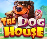 The Dog House Megaways